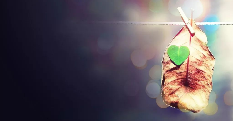 佛山市侦探：你不能认定自己的爱，就一定是正确的